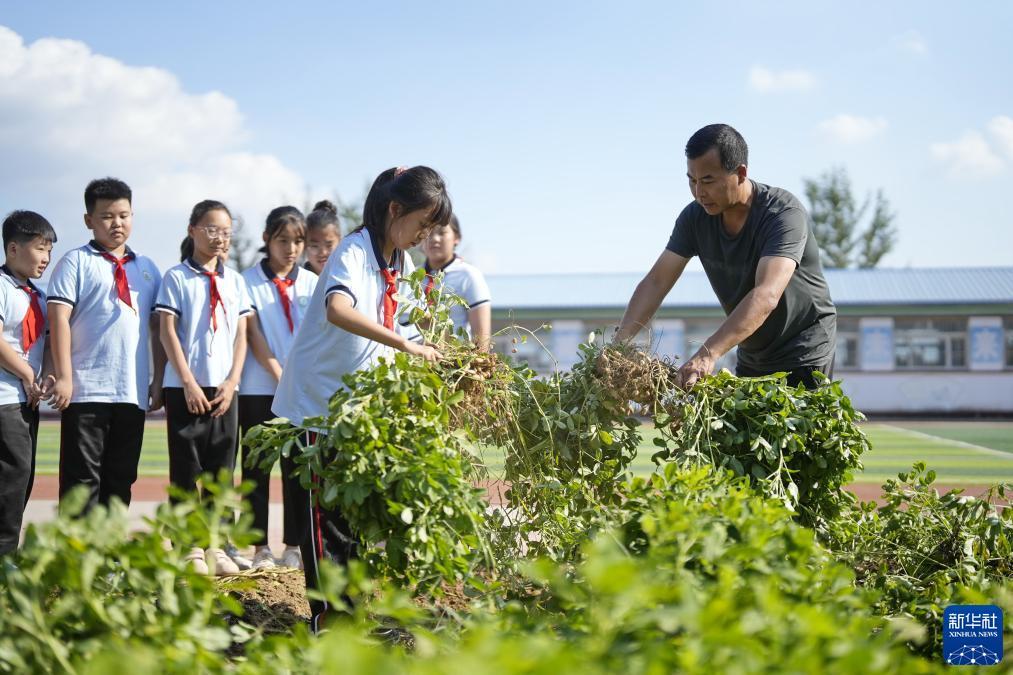 ag账号如何注册